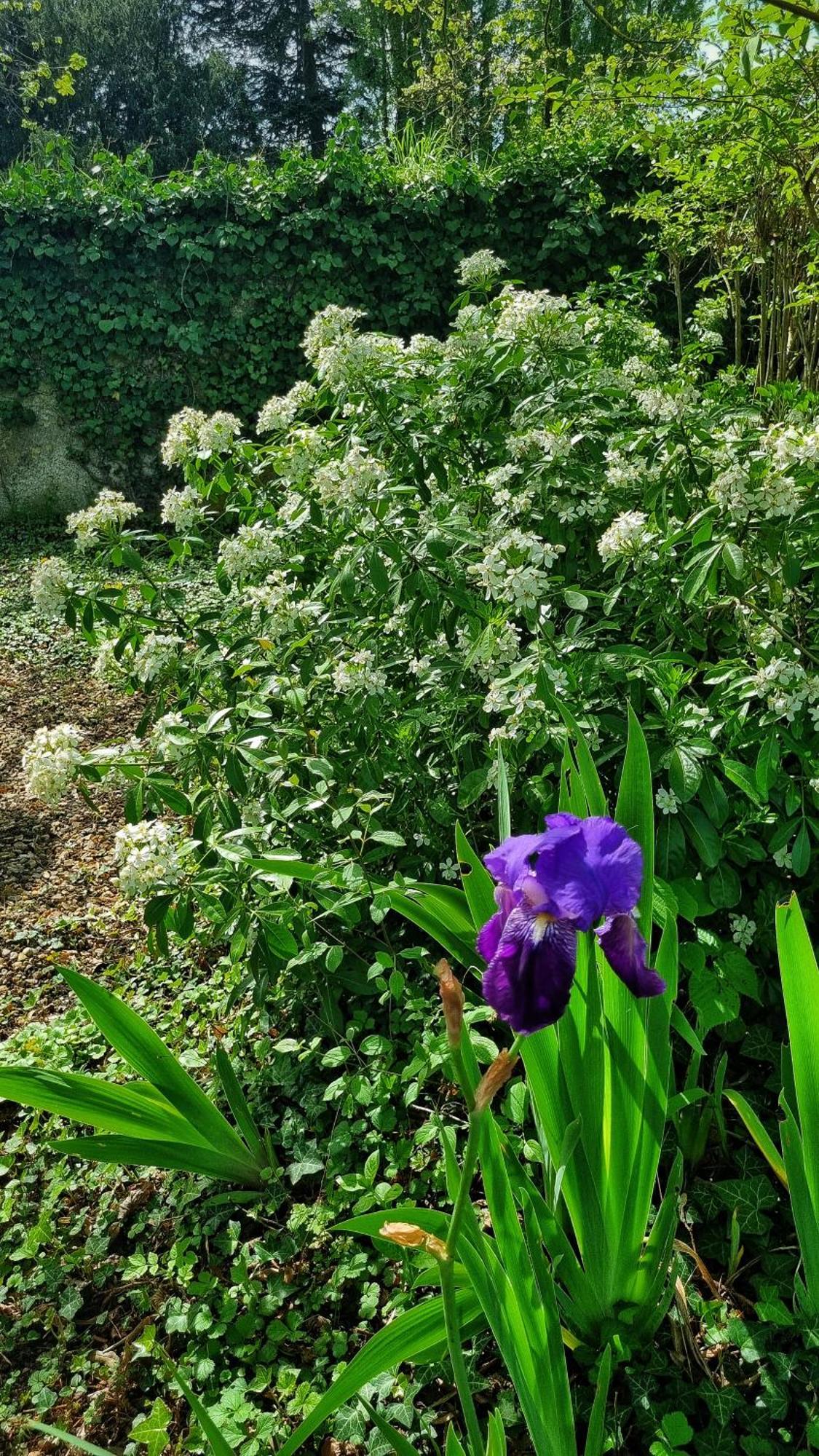 La Maison Celadon Prunay-Cassereau Ngoại thất bức ảnh